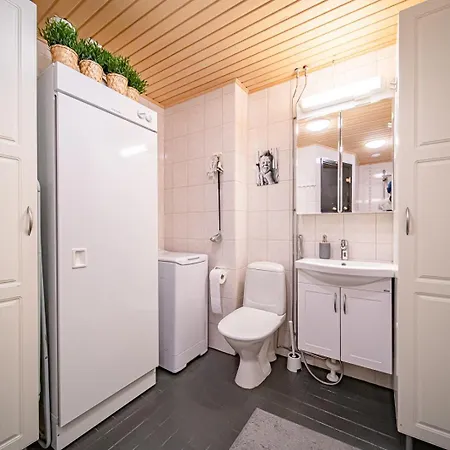 Levinalppi 2 App 8 アパート