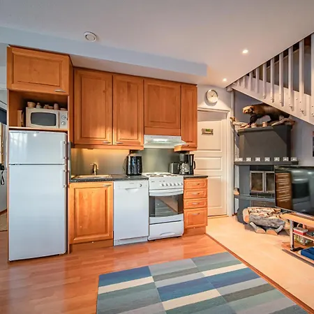 Levinalppi 2 App 8 レヴィ