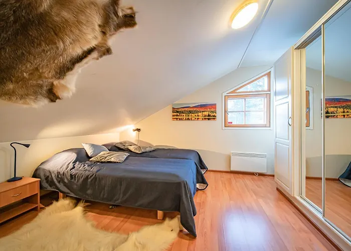 Levinalppi 2 App 8 Levi